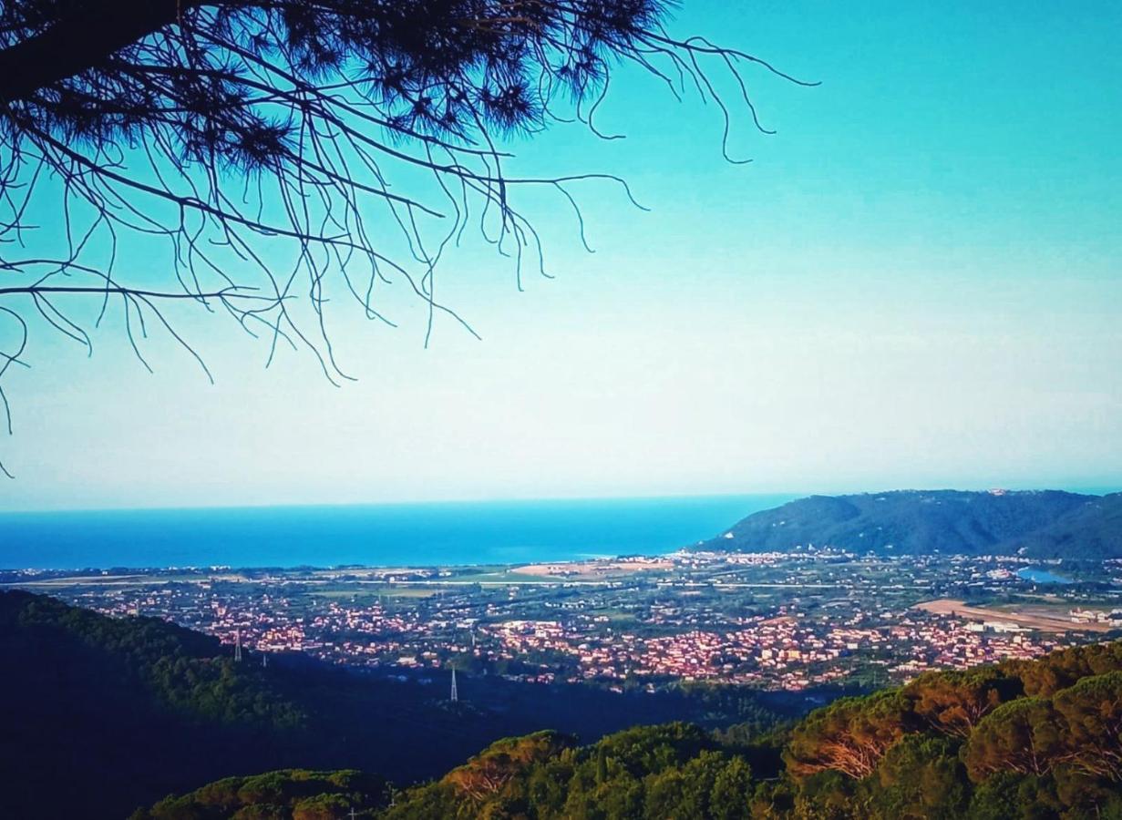 La Ginestra B&B ฟอสดิโนโว ภายนอก รูปภาพ