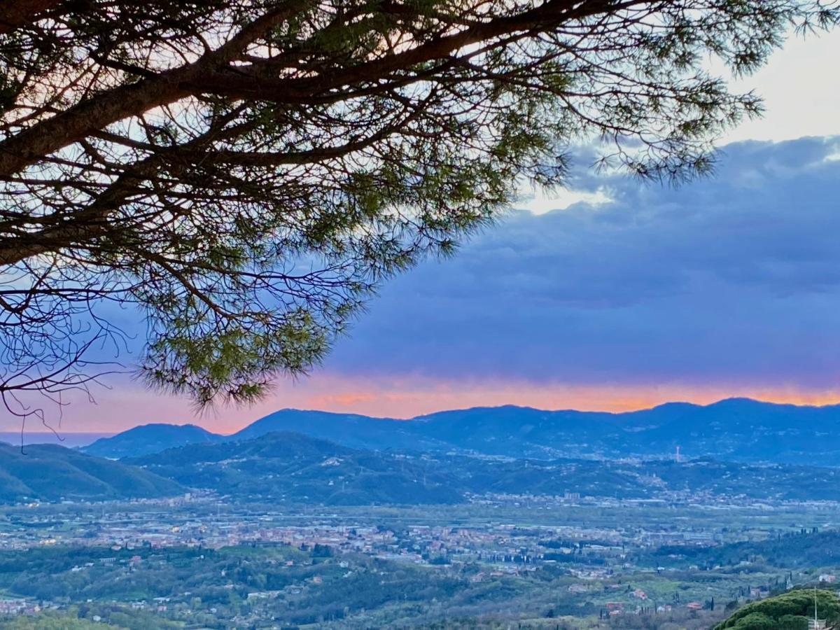 La Ginestra B&B ฟอสดิโนโว ภายนอก รูปภาพ