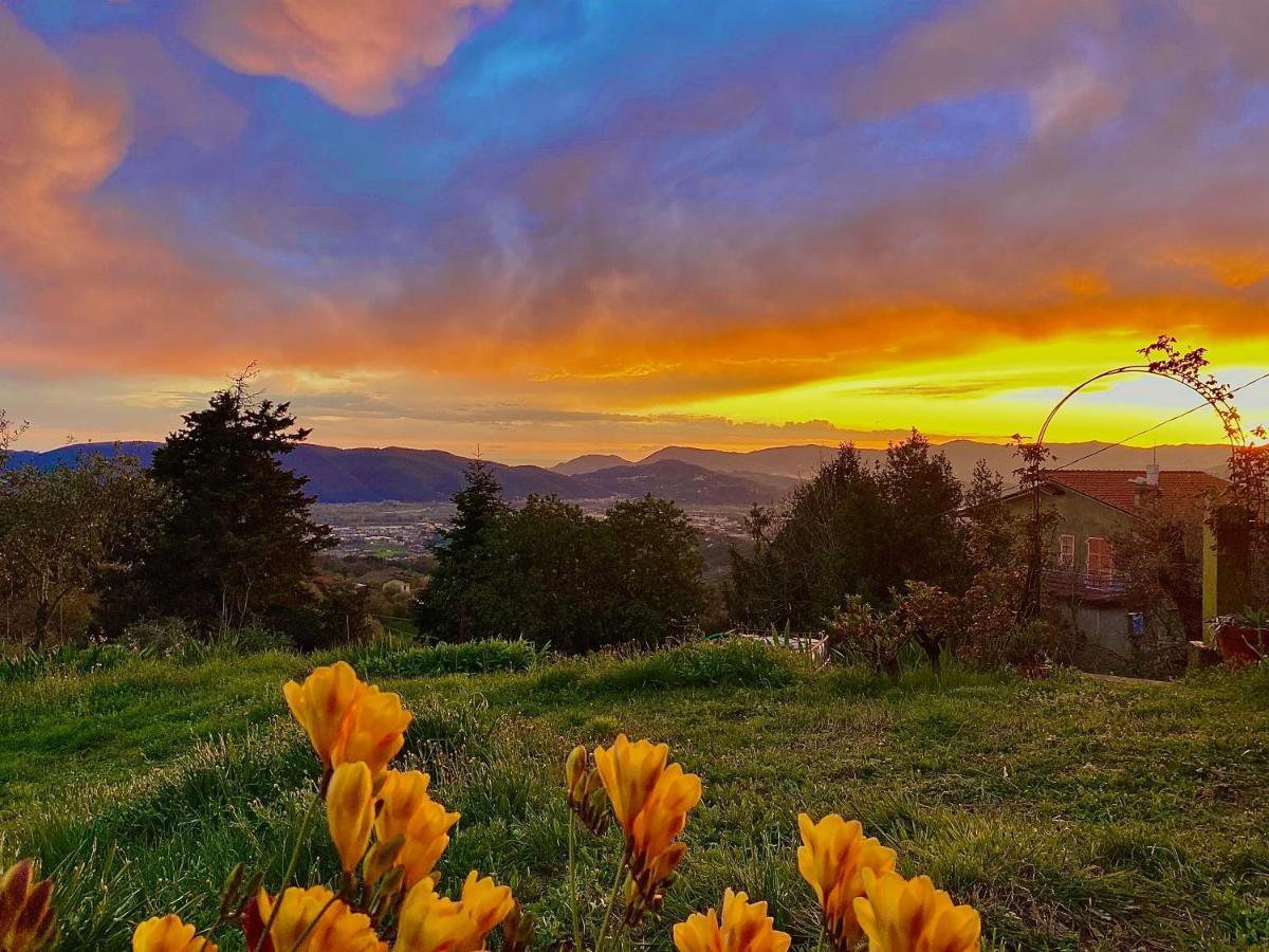 La Ginestra B&B ฟอสดิโนโว ภายนอก รูปภาพ