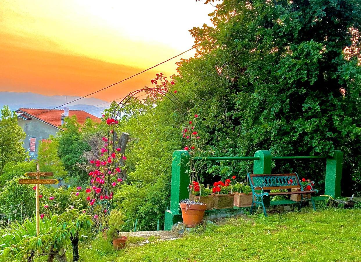 La Ginestra B&B ฟอสดิโนโว ภายนอก รูปภาพ