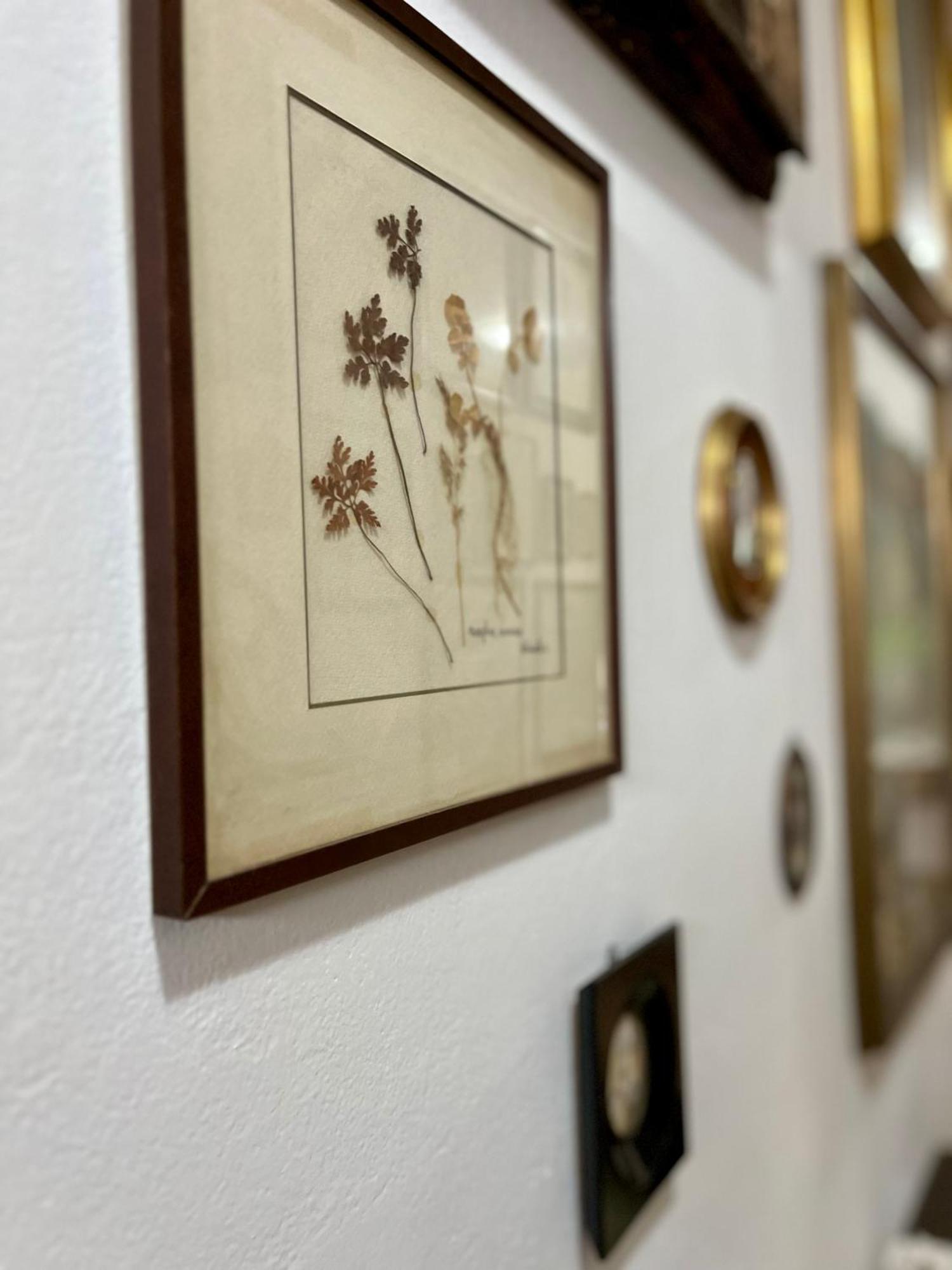 La Ginestra B&B ฟอสดิโนโว ภายนอก รูปภาพ